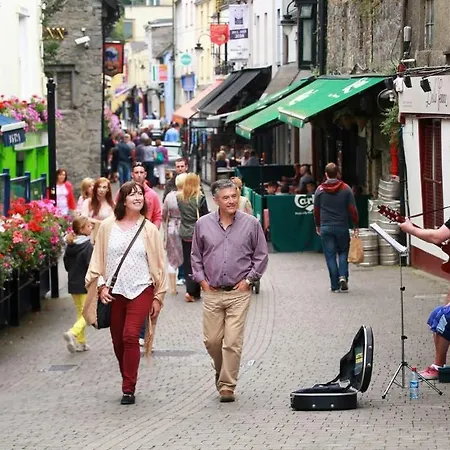 Apartment Riverside Loft Group Kilkenny